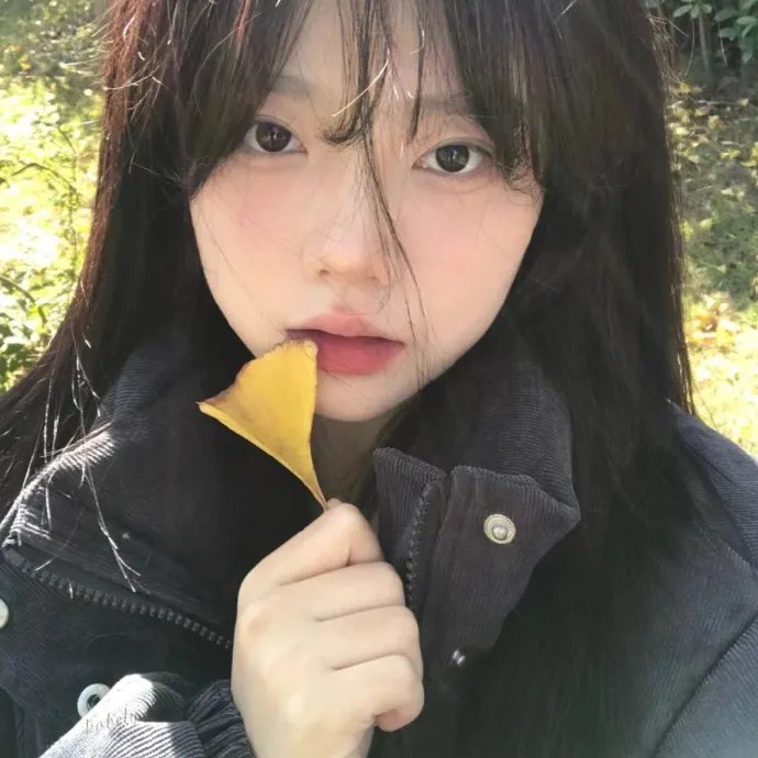 通向夏天的大门